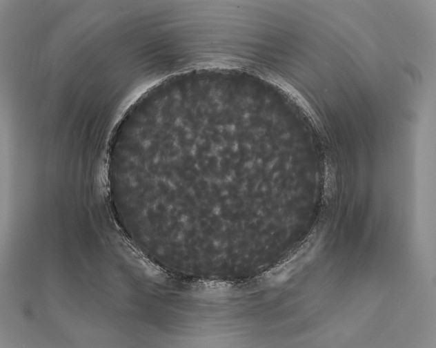 X0000112000878200908031226