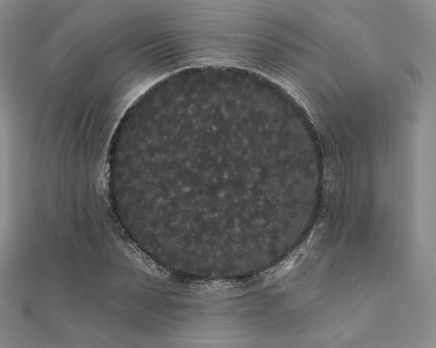 X0000112000879200908031226