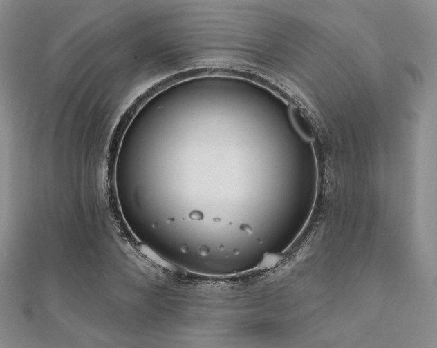 X0000112000880200908031226