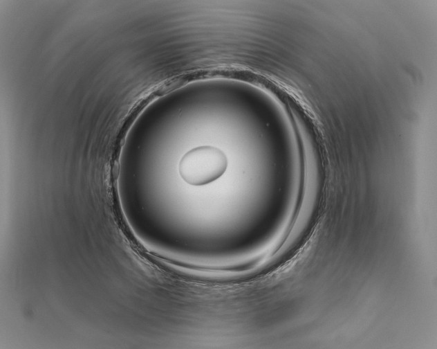 X0000112000881200908031226