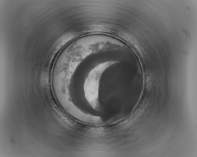 X0000112000882200908031226