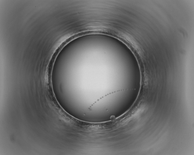 X0000112000883200908031226