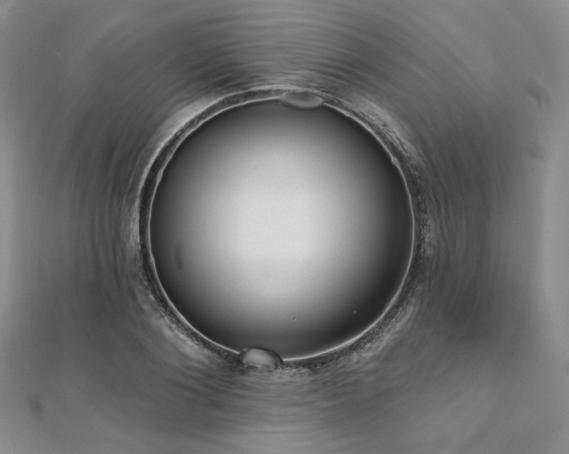 X0000112000884200908031226