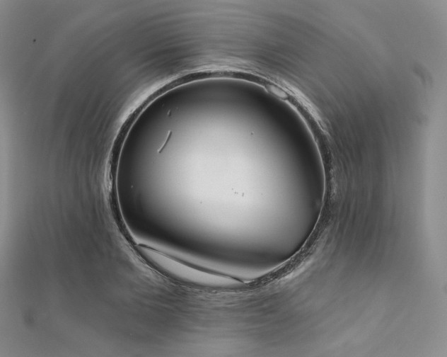 X0000112000885200908031226