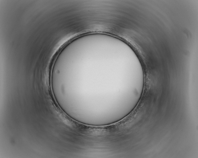 X0000112000886200908031226