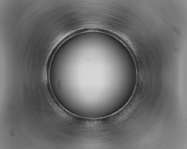 X0000112000887200908031226