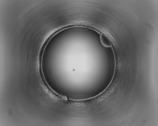 X0000112000888200908031226