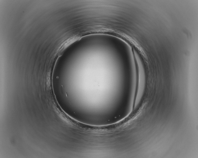 X0000112000889200908031226