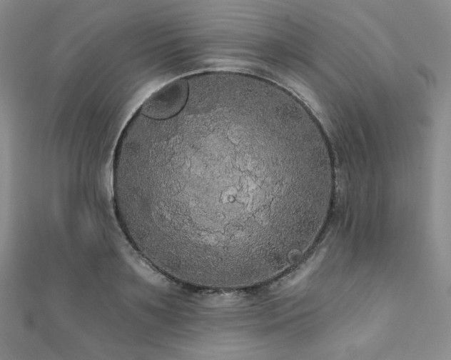 X0000112000891200908031226