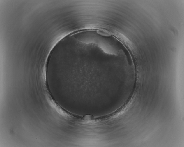 X0000112000892200908031226