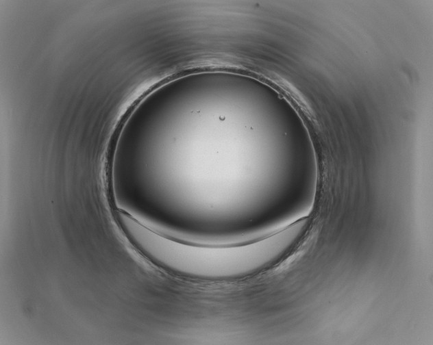 X0000112000893200908031226