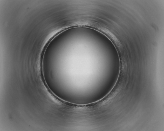 X0000112000894200908031226