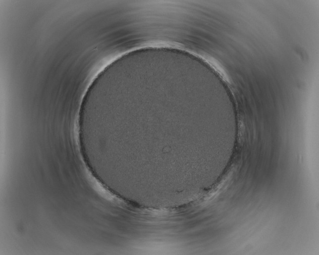 X0000112000895200908031226