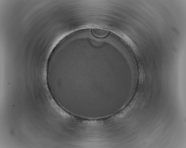 X0000112000896200908031226