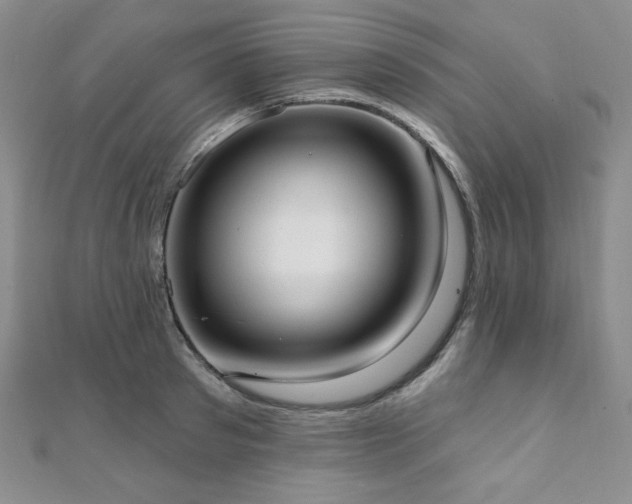 X0000112000897200908031226