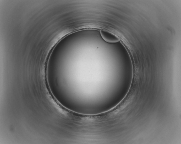 X0000112000898200908031226