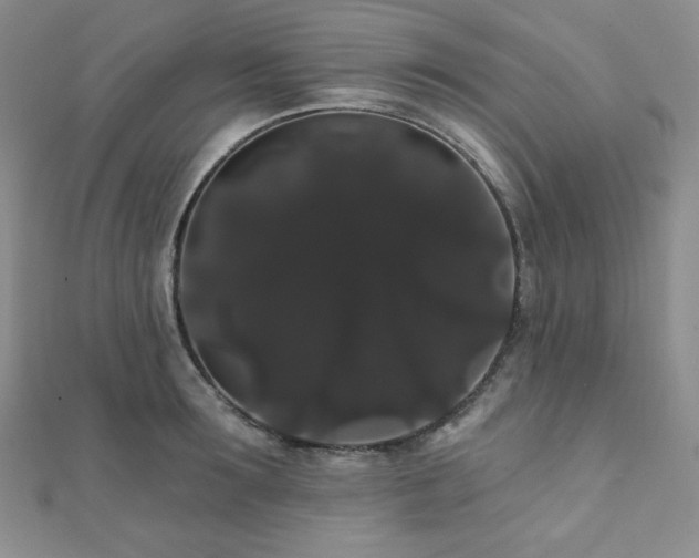 X0000112000899200908031226