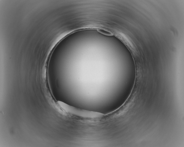 X0000112000900200908031226