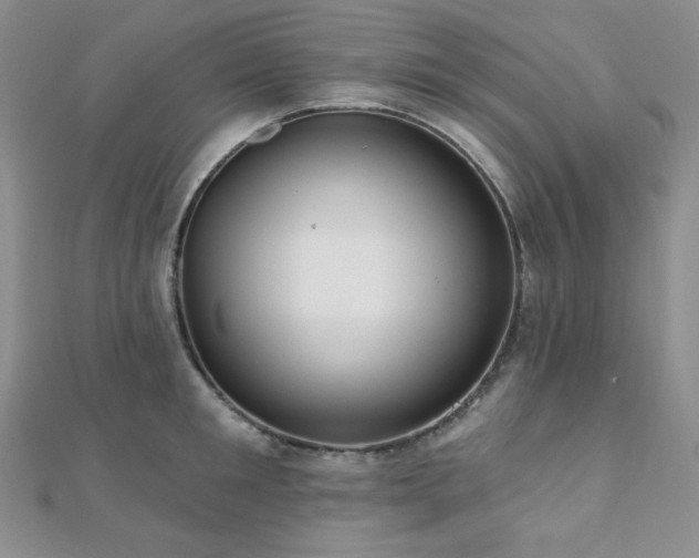 X0000112000901200908031226