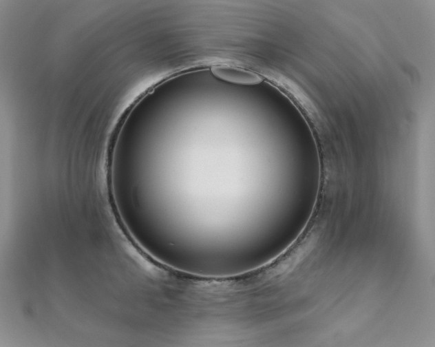 X0000112000902200908031226