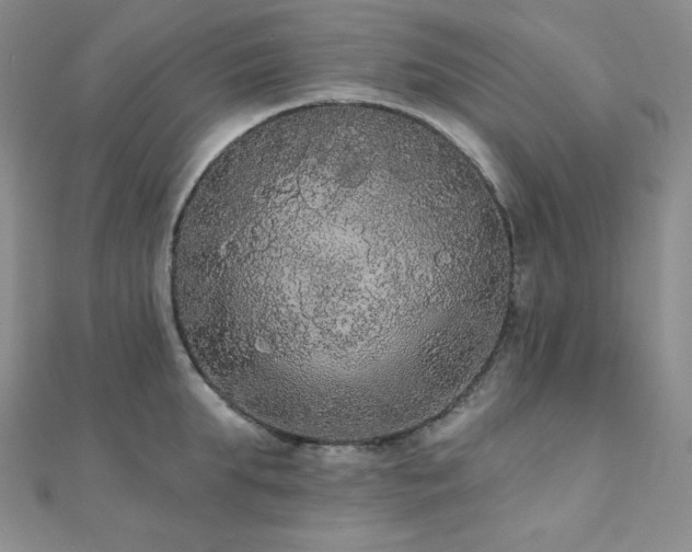 X0000112000903200908031226