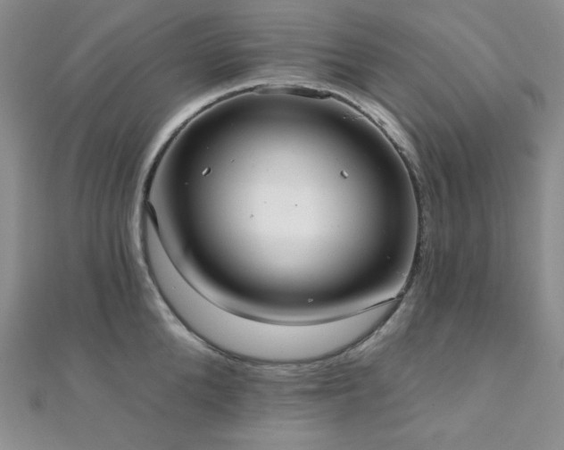 X0000112000904200908031226