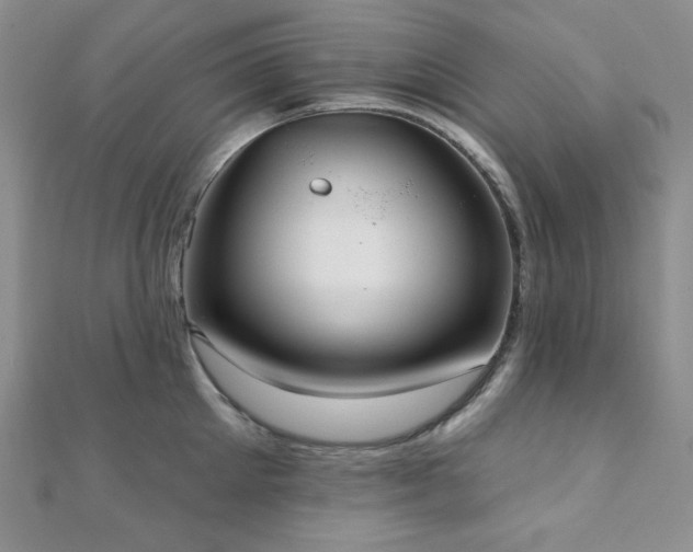 X0000112000905200908031226