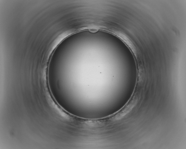 X0000112000906200908031226