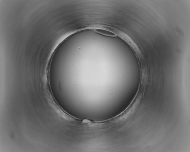 X0000112000908200908031226