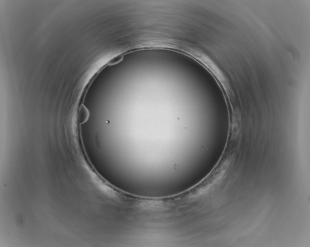 X0000112000909200908031226