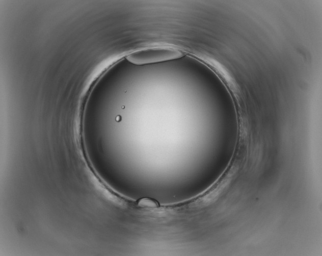 X0000112000910200908031226