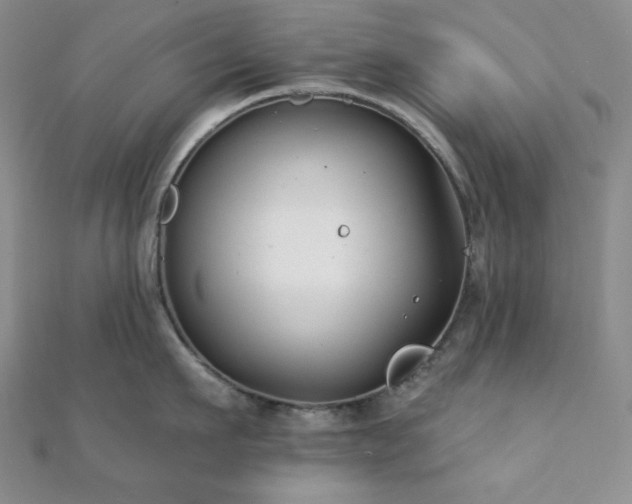 X0000112000911200908031226