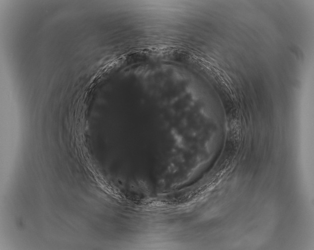 X0000112000913200908031225