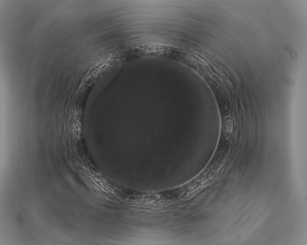 X0000112000916200908031225