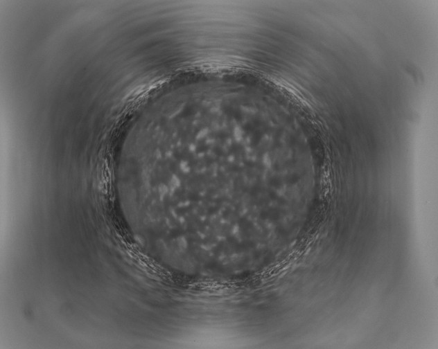 X0000112000917200908031225