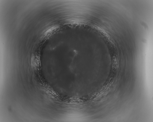 X0000112000918200908031225