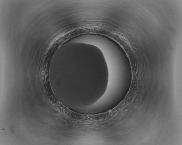 X0000112000920200908031225