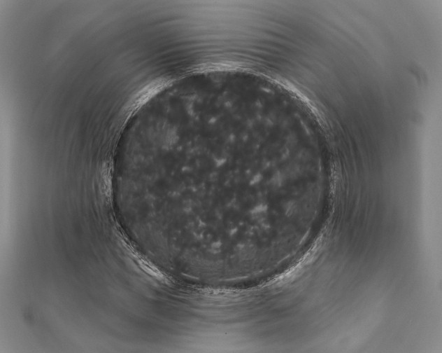 X0000112000921200908031226