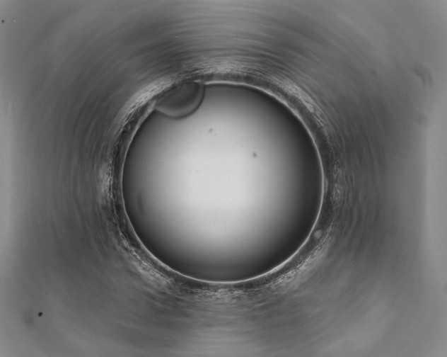 X0000112000922200908031226