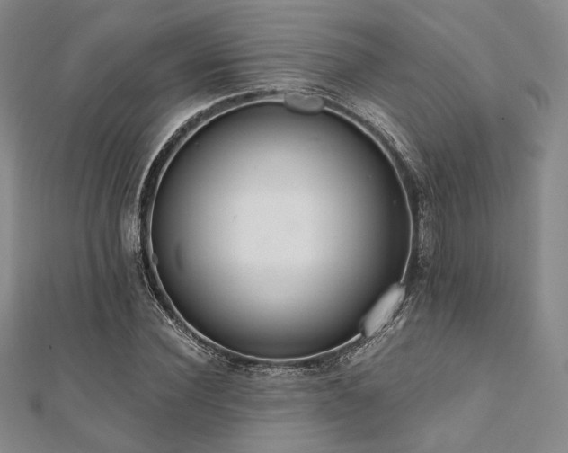 X0000112000924200908031226