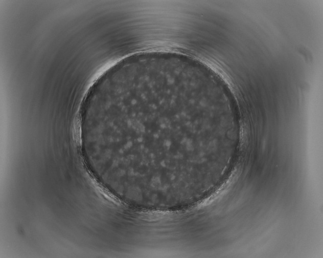 X0000112000925200908031226