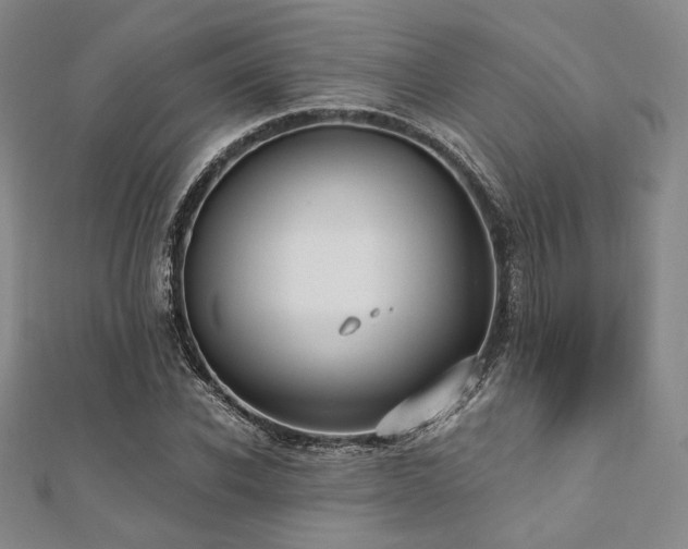 X0000112000926200908031226