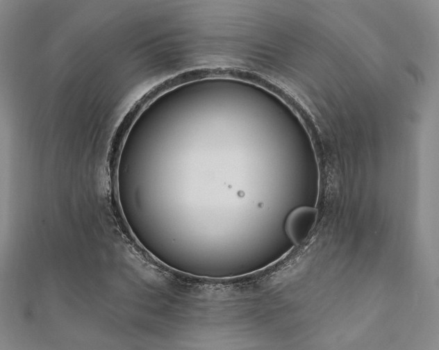 X0000112000927200908031226