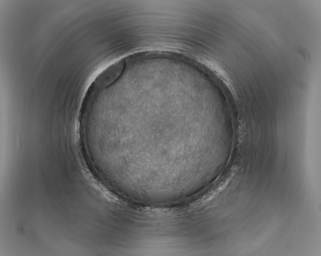 X0000112000928200908031226