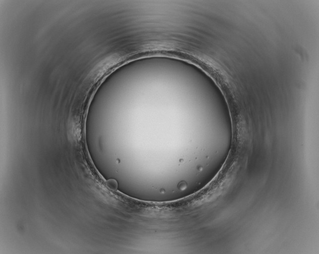 X0000112000929200908031226