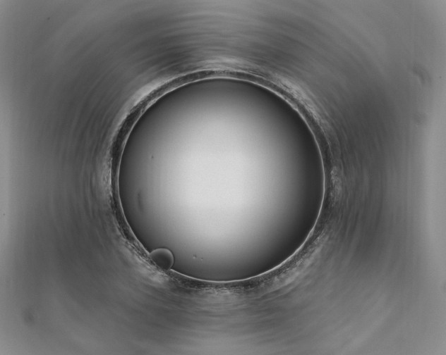 X0000112000931200908031226