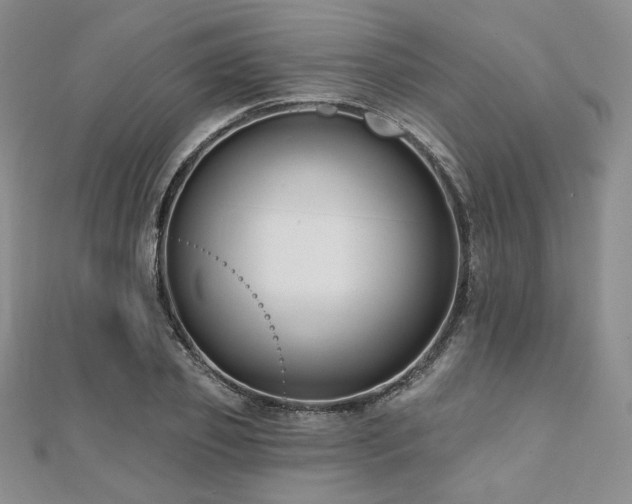 X0000112000933200908031226