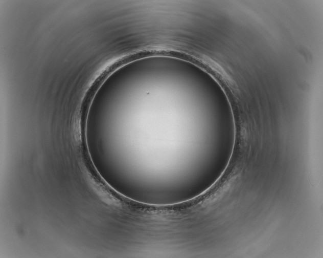 X0000112000934200908031226