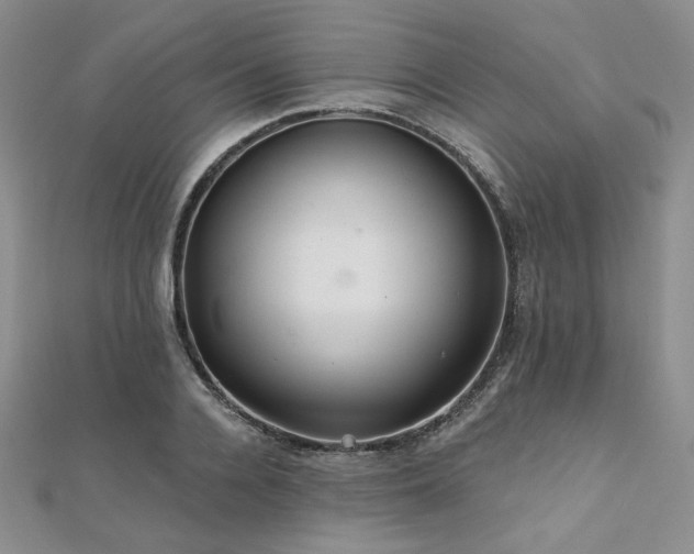 X0000112000936200908031226