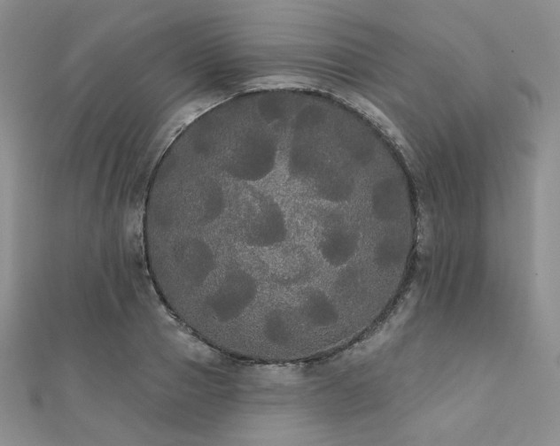 X0000112000937200908031226